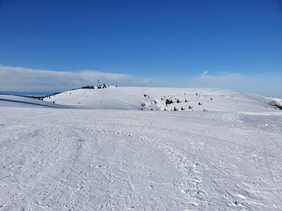 Enjoy Ferienwohnung Feldberg Grafenmatt Kültér fotó